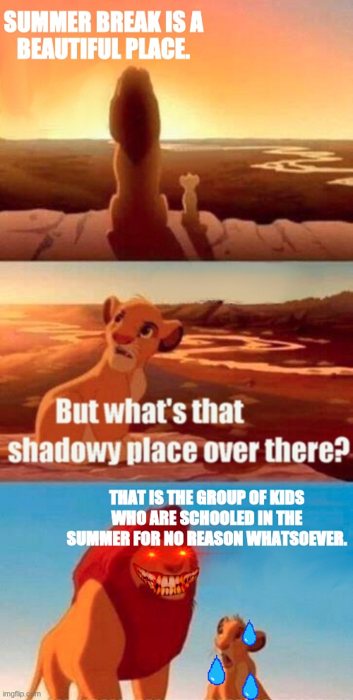Simba Shadowy Place | SUMMER BREAK IS A
BEAUTIFUL PLACE. THAT IS THE GROUP OF KIDS WHO ARE SCHOOLED IN THE SUMMER FOR NO REASON WHATSOEVER. | image tagged in memes,simba shadowy place,school | made w/ Imgflip meme maker