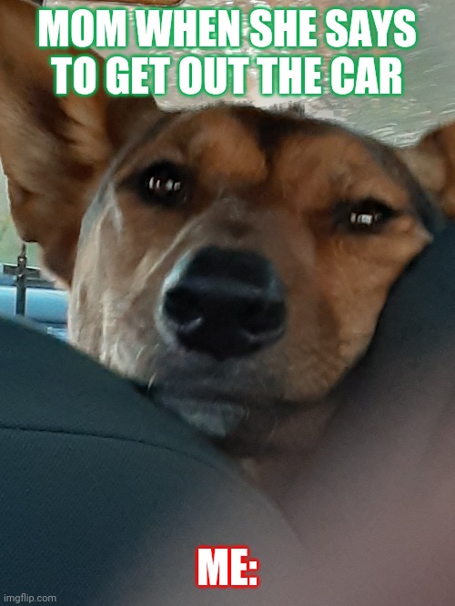 School time | MOM WHEN SHE SAYS TO GET OUT THE CAR; ME: | image tagged in ain't nobody got time for that | made w/ Imgflip meme maker