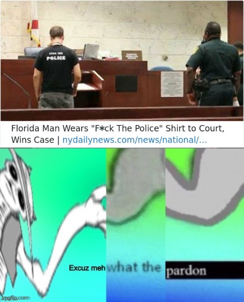 What? | image tagged in excuse me what the pardon,florida man,florida | made w/ Imgflip meme maker