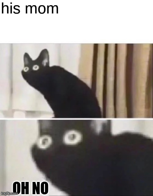 Oh No Black Cat | his mom OH NO | image tagged in oh no black cat | made w/ Imgflip meme maker