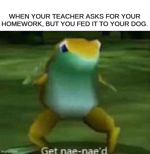 dog: starts walking and reciting math problems | WHEN YOUR TEACHER ASKS FOR YOUR HOMEWORK, BUT YOU FED IT TO YOUR DOG. | image tagged in get nae-nae'd | made w/ Imgflip meme maker