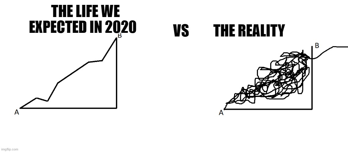 The Life We Expected in 2020 Vs The Reality | VS         THE REALITY; THE LIFE WE EXPECTED IN 2020 | image tagged in what we expected vs reality | made w/ Imgflip meme maker