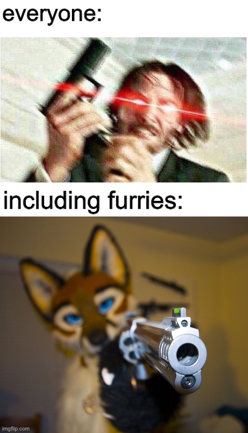 Furry with gun | everyone: including furries: | image tagged in furry with gun | made w/ Imgflip meme maker