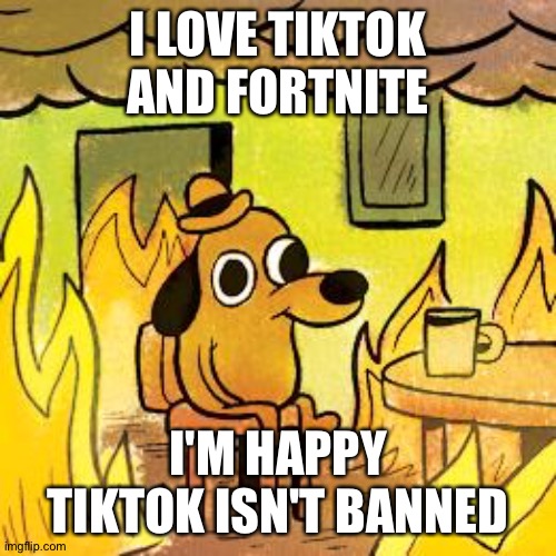 It's a dare don't bash me- | I LOVE TIKTOK AND FORTNITE; I'M HAPPY TIKTOK ISN'T BANNED | image tagged in dog in burning house | made w/ Imgflip meme maker