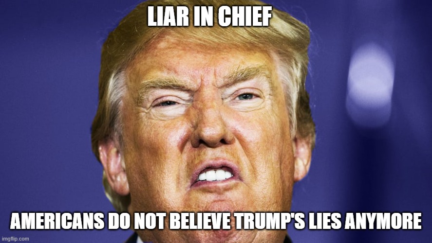 Trump = DEATH | LIAR IN CHIEF; AMERICANS DO NOT BELIEVE TRUMP'S LIES ANYMORE | image tagged in liar,lies,liar in chief,pandemic,coronavirus,covid-19 | made w/ Imgflip meme maker