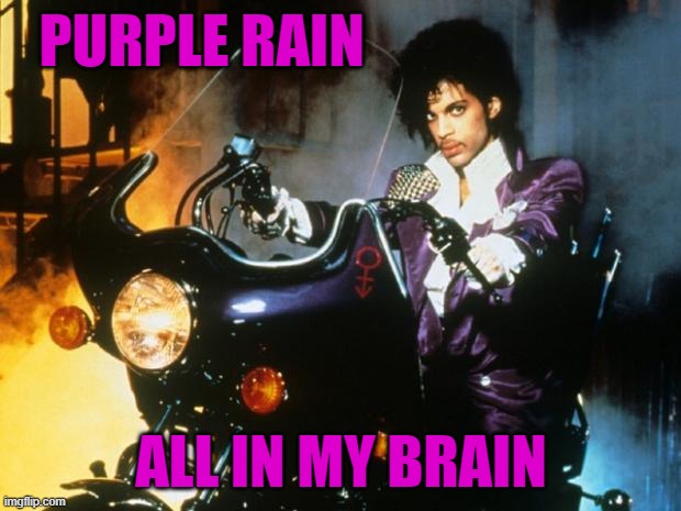 Purple rain  | PURPLE RAIN ALL IN MY BRAIN | image tagged in purple rain | made w/ Imgflip meme maker
