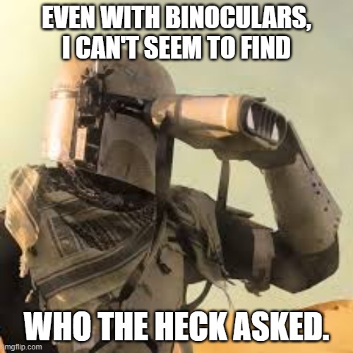 I can't see who the heck asked. | EVEN WITH BINOCULARS, I CAN'T SEEM TO FIND; WHO THE HECK ASKED. | image tagged in mandalorian with binoculars,response | made w/ Imgflip meme maker