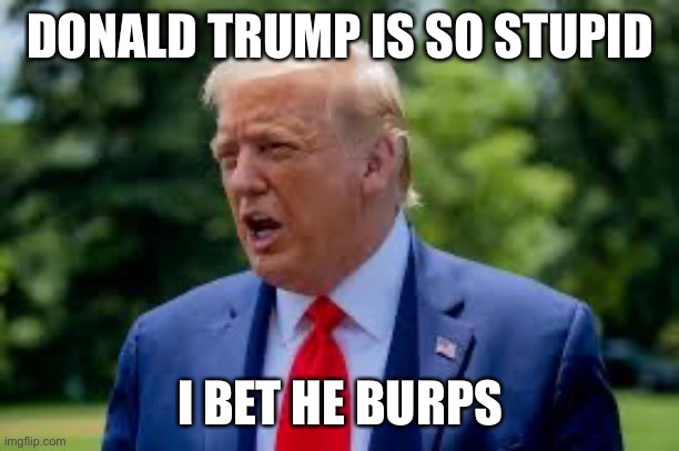 He’s burping in the picture! | DONALD TRUMP IS SO STUPID; I BET HE BURPS | image tagged in burp | made w/ Imgflip meme maker