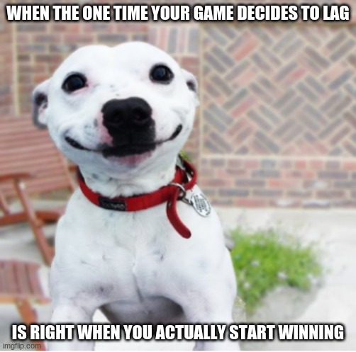 yah that's just great. | WHEN THE ONE TIME YOUR GAME DECIDES TO LAG; IS RIGHT WHEN YOU ACTUALLY START WINNING | image tagged in act natural dog,gaming | made w/ Imgflip meme maker