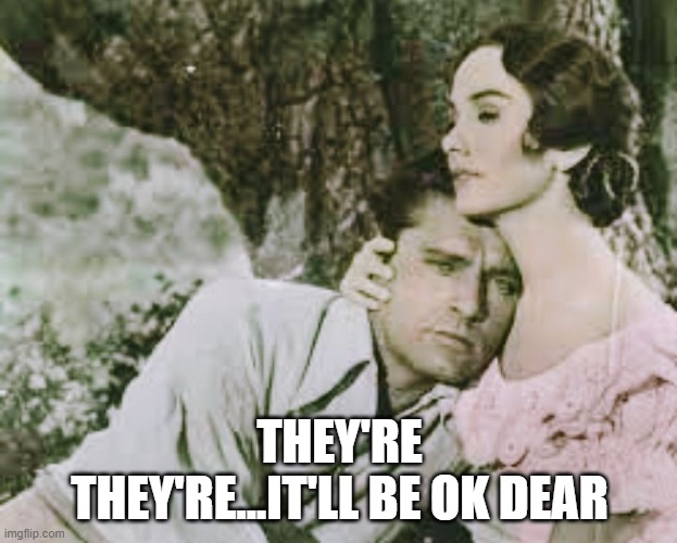 Comforting | THEY'RE THEY'RE...IT'LL BE OK DEAR | image tagged in comforting | made w/ Imgflip meme maker