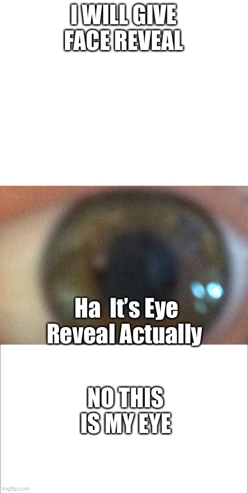 I WILL GIVE FACE REVEAL; Ha  It’s Eye Reveal Actually; NO THIS IS MY EYE | image tagged in white background,blank white template | made w/ Imgflip meme maker