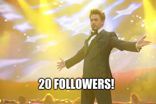 We've done it! | 20 FOLLOWERS! | image tagged in tony stark success | made w/ Imgflip meme maker