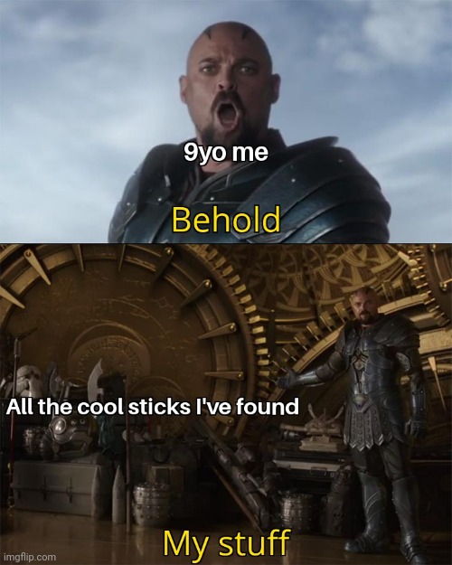 i be collecting sticks | image tagged in gotanypain | made w/ Imgflip meme maker