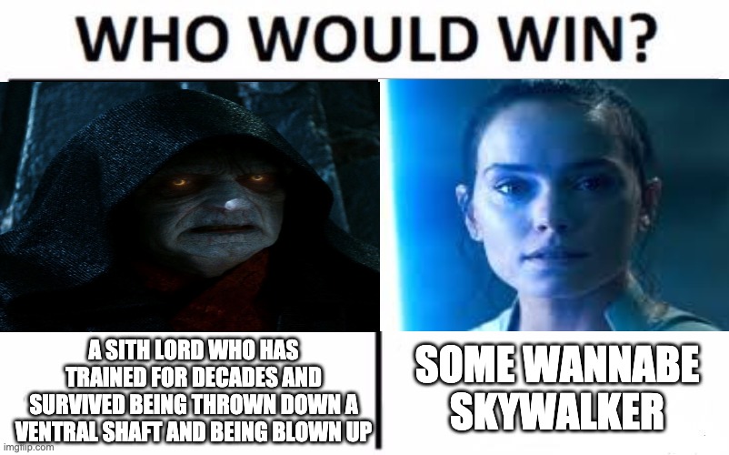 It just doesn't make sense | A SITH LORD WHO HAS TRAINED FOR DECADES AND SURVIVED BEING THROWN DOWN A VENTRAL SHAFT AND BEING BLOWN UP; SOME WANNABE SKYWALKER | image tagged in the rise of skywalker | made w/ Imgflip meme maker
