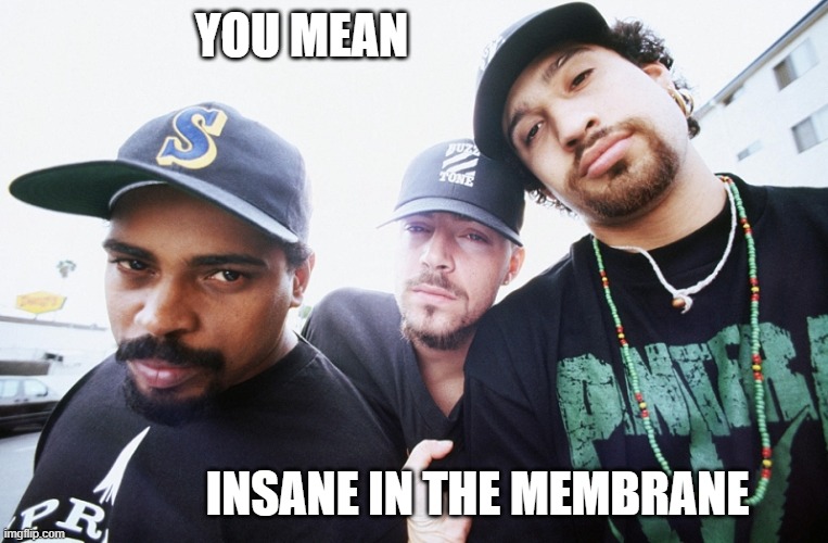 YOU MEAN INSANE IN THE MEMBRANE | made w/ Imgflip meme maker