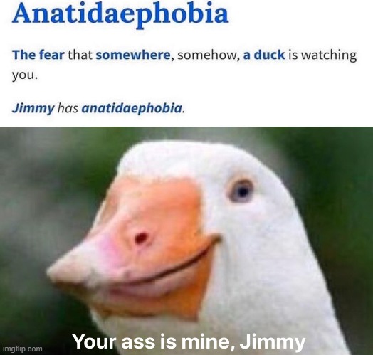 Anatidaephobia | image tagged in memes,goose | made w/ Imgflip meme maker
