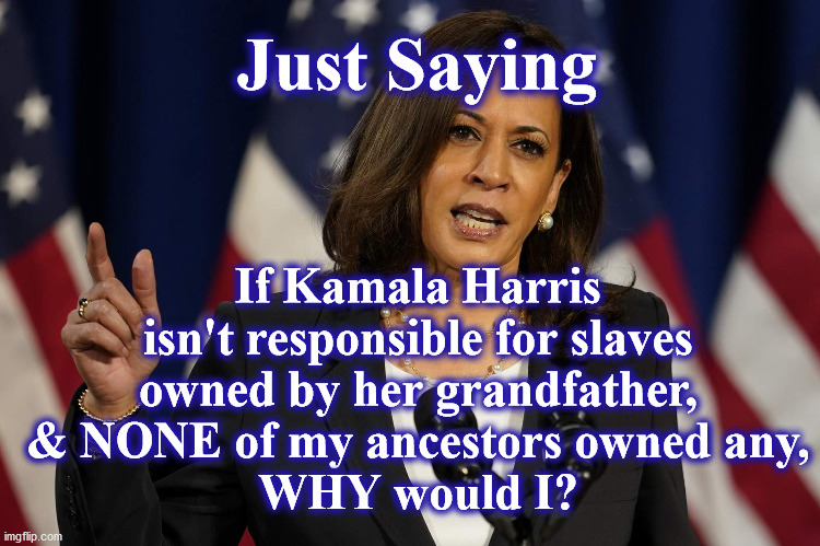 kamala | Just Saying; If Kamala Harris isn't responsible for slaves owned by her grandfather, & NONE of my ancestors owned any,
WHY would I? | image tagged in kamala | made w/ Imgflip meme maker