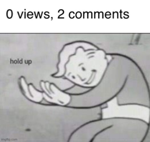 whyyy breh | image tagged in fallout hold up,views,comments,imgflip | made w/ Imgflip meme maker