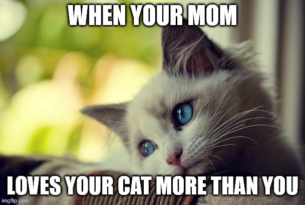 First World Problems Cat | WHEN YOUR MOM; LOVES YOUR CAT MORE THAN YOU | image tagged in memes,first world problems cat | made w/ Imgflip meme maker