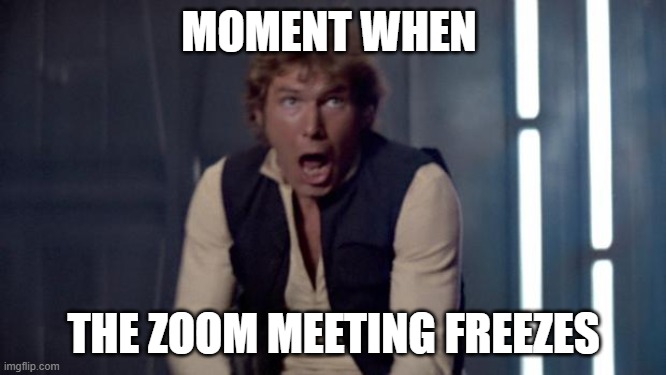 Han Solo | MOMENT WHEN; THE ZOOM MEETING FREEZES | image tagged in han solo | made w/ Imgflip meme maker