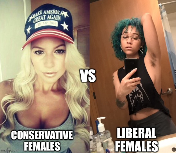 Just is what it IS! | VS; LIBERAL FEMALES; CONSERVATIVE FEMALES | image tagged in liberal vs conservative,women,truth,memes | made w/ Imgflip meme maker