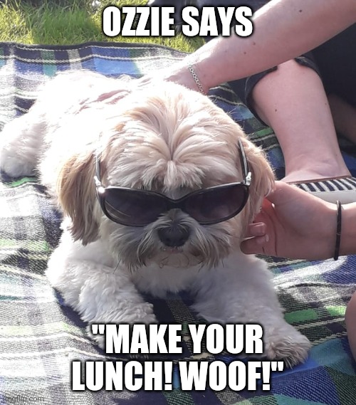 Ozzie says | OZZIE SAYS; "MAKE YOUR LUNCH! WOOF!" | image tagged in memes | made w/ Imgflip meme maker
