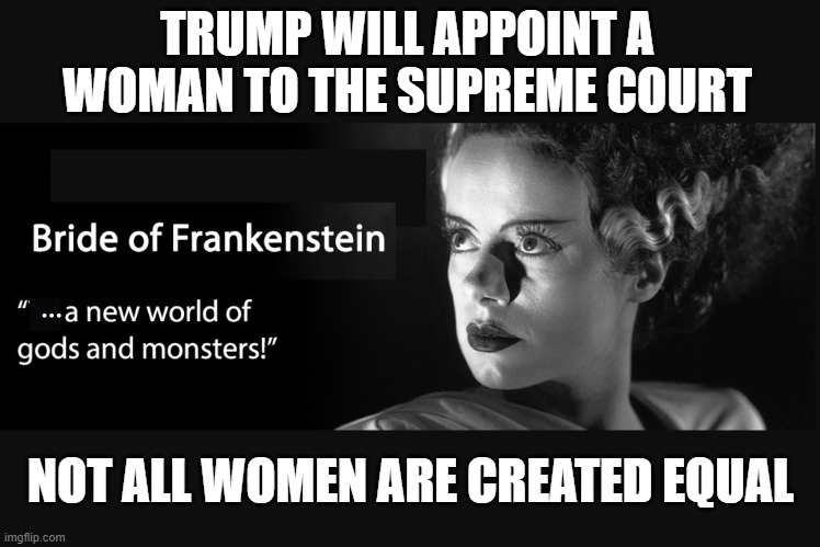 She May Be Notorious But She Will Not Be R.B.G. | TRUMP WILL APPOINT A WOMAN TO THE SUPREME COURT; NOT ALL WOMEN ARE CREATED EQUAL | image tagged in supreme court,ruth bader ginsburg,republicans are hypocrites,liars | made w/ Imgflip meme maker