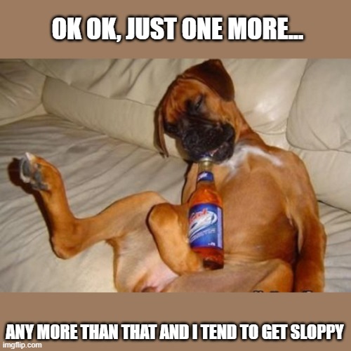 Drunk dog | OK OK, JUST ONE MORE... ANY MORE THAN THAT AND I TEND TO GET SLOPPY | image tagged in drunk dog | made w/ Imgflip meme maker