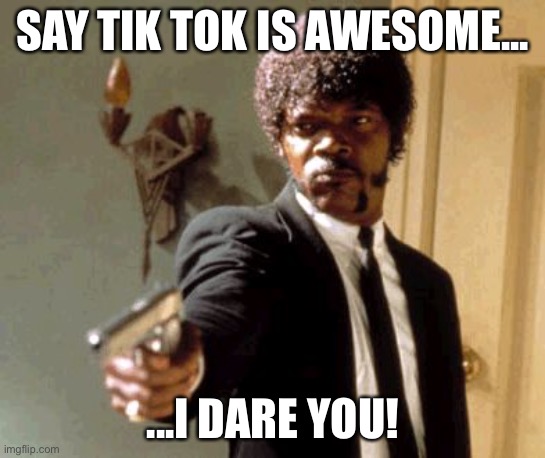 Say That Again I Dare You | SAY TIK TOK IS AWESOME... ...I DARE YOU! | image tagged in memes,say that again i dare you,tik tok | made w/ Imgflip meme maker