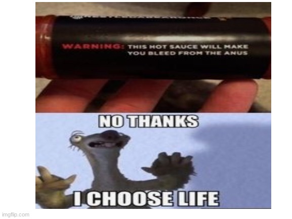 image tagged in sid the sloth,no thanks,hot sauce | made w/ Imgflip meme maker
