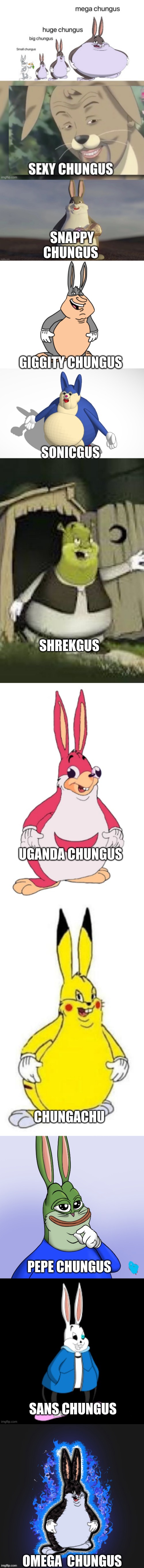 comment more chunguses | OMEGA  CHUNGUS | image tagged in chungus family | made w/ Imgflip meme maker