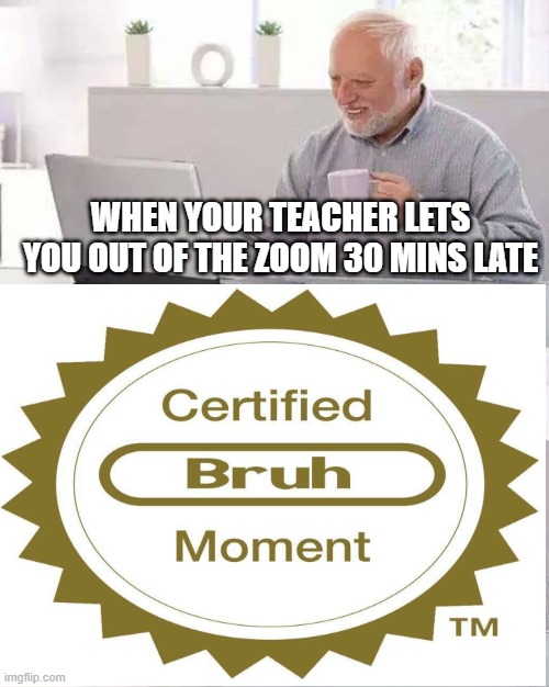 Reality tho | WHEN YOUR TEACHER LETS YOU OUT OF THE ZOOM 30 MINS LATE | image tagged in too funny,lol | made w/ Imgflip meme maker