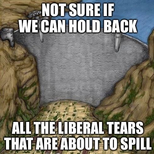 High Quality dam filled with liberal tears Blank Meme Template