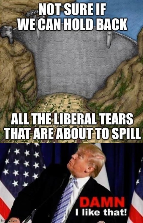 dam filled with liberal tears | image tagged in political meme,donald trump,liberals,liberal tears,damn,dam | made w/ Imgflip meme maker