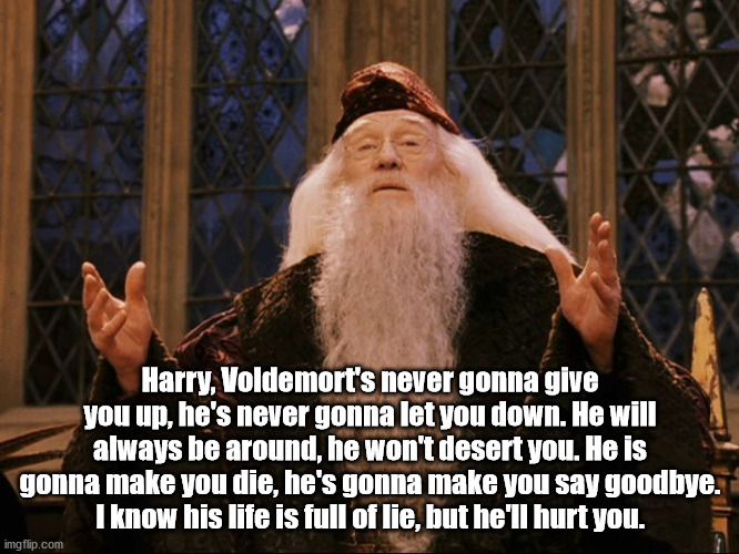 Dumbledore | Harry, Voldemort's never gonna give you up, he's never gonna let you down. He will always be around, he won't desert you. He is gonna make you die, he's gonna make you say goodbye. I know his life is full of lie, but he'll hurt you. | image tagged in dumbledore | made w/ Imgflip meme maker