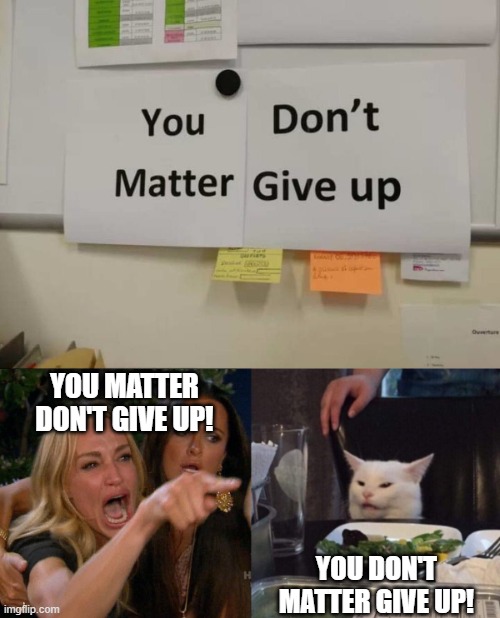 Which one is it? | YOU MATTER DON'T GIVE UP! YOU DON'T MATTER GIVE UP! | image tagged in woman yelling at cat,funny signs | made w/ Imgflip meme maker