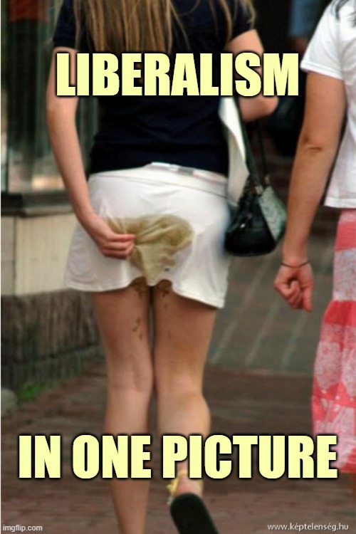 poop girl | LIBERALISM IN ONE PICTURE | image tagged in poop girl | made w/ Imgflip meme maker