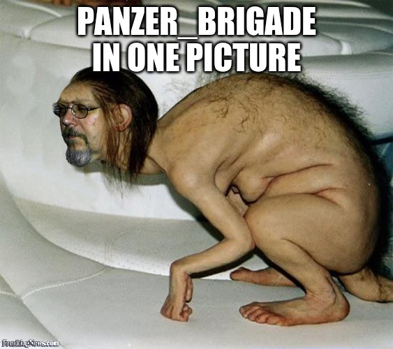 Ugly Man Creature | PANZER_BRIGADE IN ONE PICTURE | image tagged in ugly man creature | made w/ Imgflip meme maker