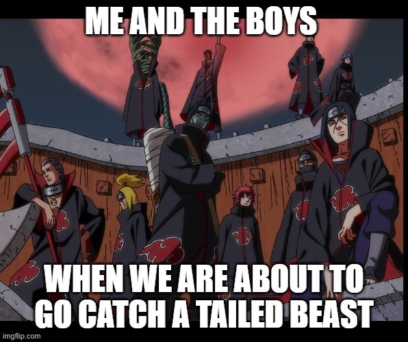 The ultimate team | image tagged in akatsuki | made w/ Imgflip meme maker