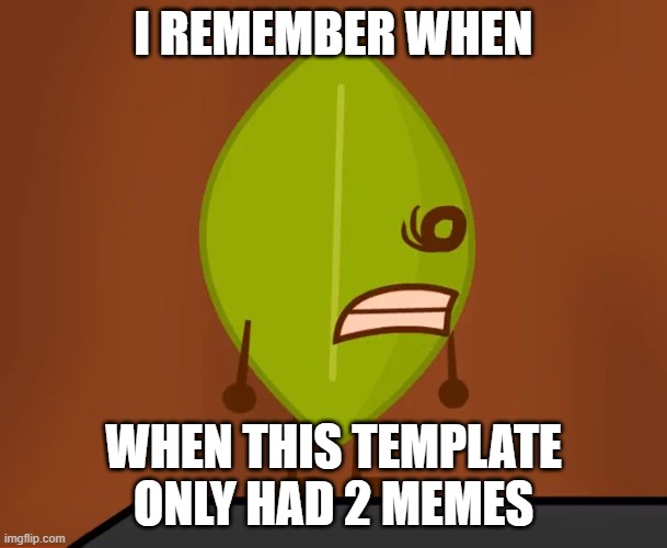 WAT? | I REMEMBER WHEN; WHEN THIS TEMPLATE ONLY HAD 2 MEMES | image tagged in bfdi wat face | made w/ Imgflip meme maker