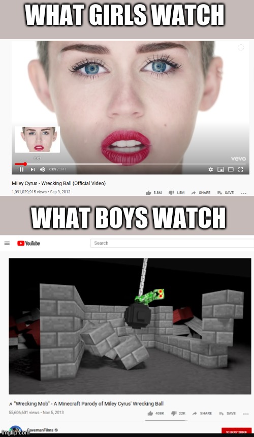 WHAT GIRLS WATCH; WHAT BOYS WATCH | image tagged in minecraft,boys,boys vs girls,funny | made w/ Imgflip meme maker