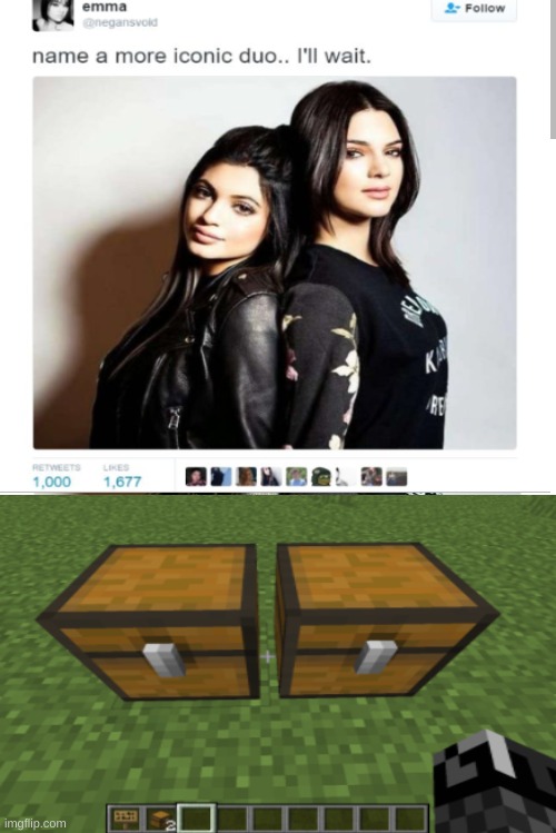 Double Chest | image tagged in name a more iconic duo,chest,minecraft | made w/ Imgflip meme maker