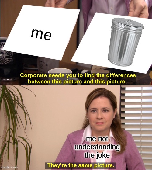 theyre the same picture | me; me not understanding the joke | image tagged in memes,they're the same picture | made w/ Imgflip meme maker