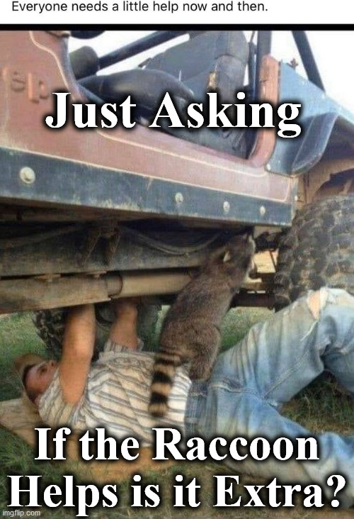 repairs | Just Asking; If the Raccoon Helps is it Extra? | image tagged in repairs | made w/ Imgflip meme maker