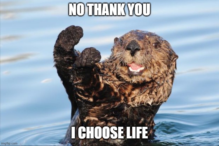 NO THANK YOU | NO THANK YOU I CHOOSE LIFE | image tagged in no thank you | made w/ Imgflip meme maker