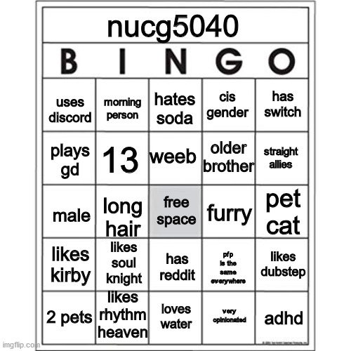 a bingo card since everyone is making one | nucg5040; cis gender; has switch; uses discord; morning person; hates soda; older brother; plays gd; weeb; 13; straight allies; pet cat; free space; male; furry; long hair; likes dubstep; likes kirby; likes soul knight; pfp is the same everywhere; has reddit; likes rhythm heaven; loves water; adhd; very opinionated; 2 pets | image tagged in blank bingo card | made w/ Imgflip meme maker