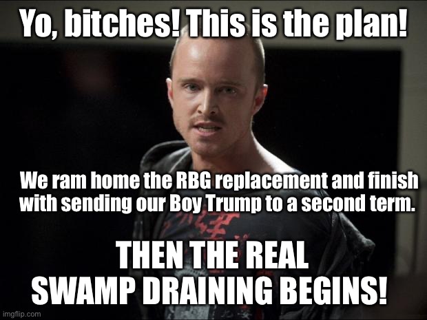 Jesse Relays The Plan | Yo, bitches! This is the plan! We ram home the RBG replacement and finish with sending our Boy Trump to a second term. THEN THE REAL SWAMP DRAINING BEGINS! | image tagged in jessie pinkman,donald trump,trump 2020 | made w/ Imgflip meme maker