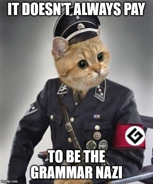 Grammar Nazi Cat | IT DOESN'T ALWAYS PAY TO BE THE GRAMMAR NAZI | image tagged in grammar nazi cat | made w/ Imgflip meme maker