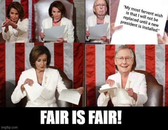 Fair is Fair! | image tagged in stupid liberals,nancy pelosi,mitch mcconnell | made w/ Imgflip meme maker