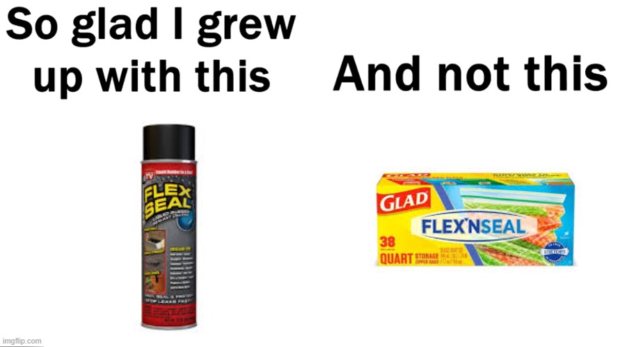 Flex N Seal? | image tagged in so glad i grew up with this | made w/ Imgflip meme maker